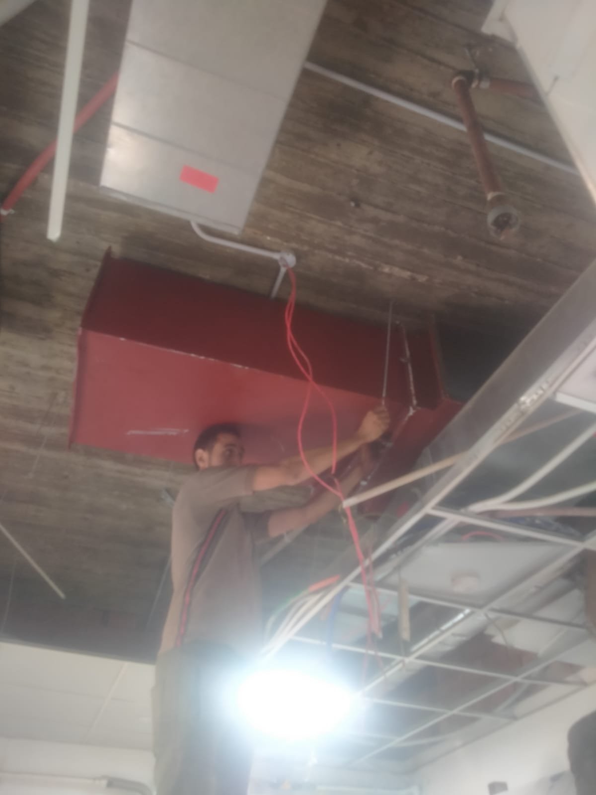 WhatsApp Image 2026-01-22 at 14.53.16 (4)