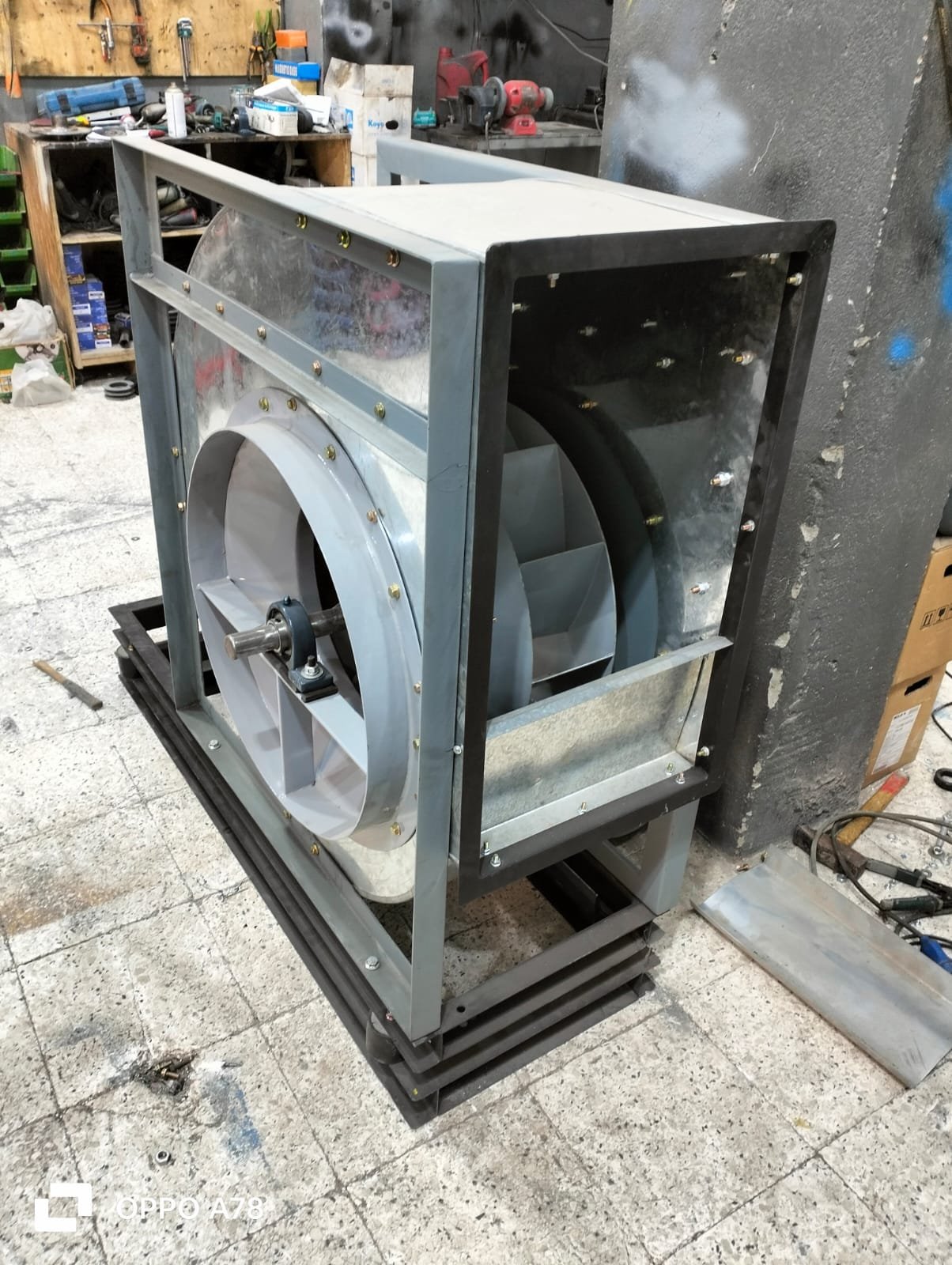 WhatsApp Image 2026-01-22 at 14.53.19 (5)